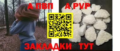 прущие крисы Кимры