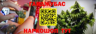 прущие крисы Кимры