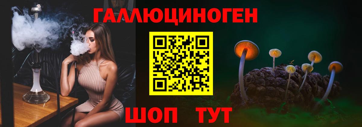 Псилоцибиновые грибы Magic Shrooms  Галлюциногенные грибы GOLDEN TEACHER  Вход с VPN  Качканар 